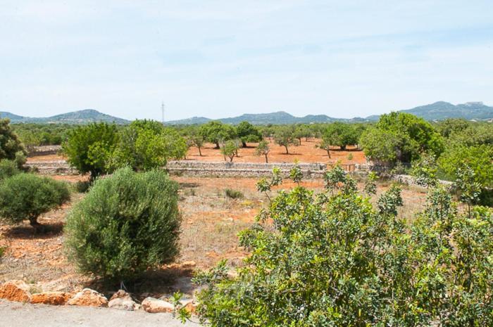Verdal Holiday home